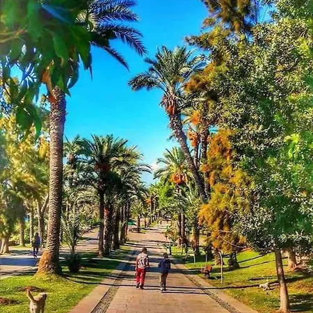 Sultan - Entrance Floor דירה